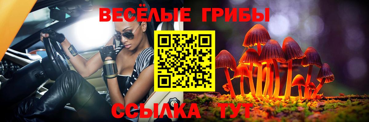 Чайковский  Галлюциногенные грибы ЛСД  Вход с VPN 